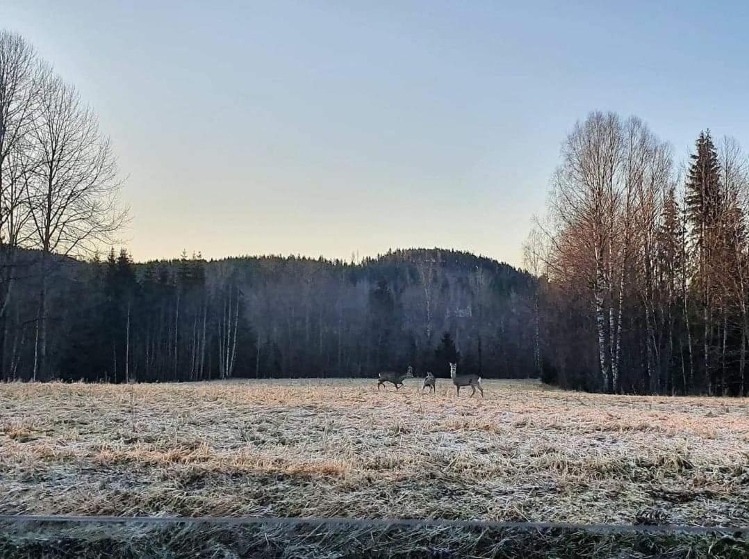 Trevlig Stuga Naera Hovfjaellet Турсбю Екстер'єр фото
