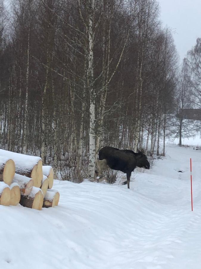 Trevlig Stuga Naera Hovfjaellet Турсбю Екстер'єр фото
