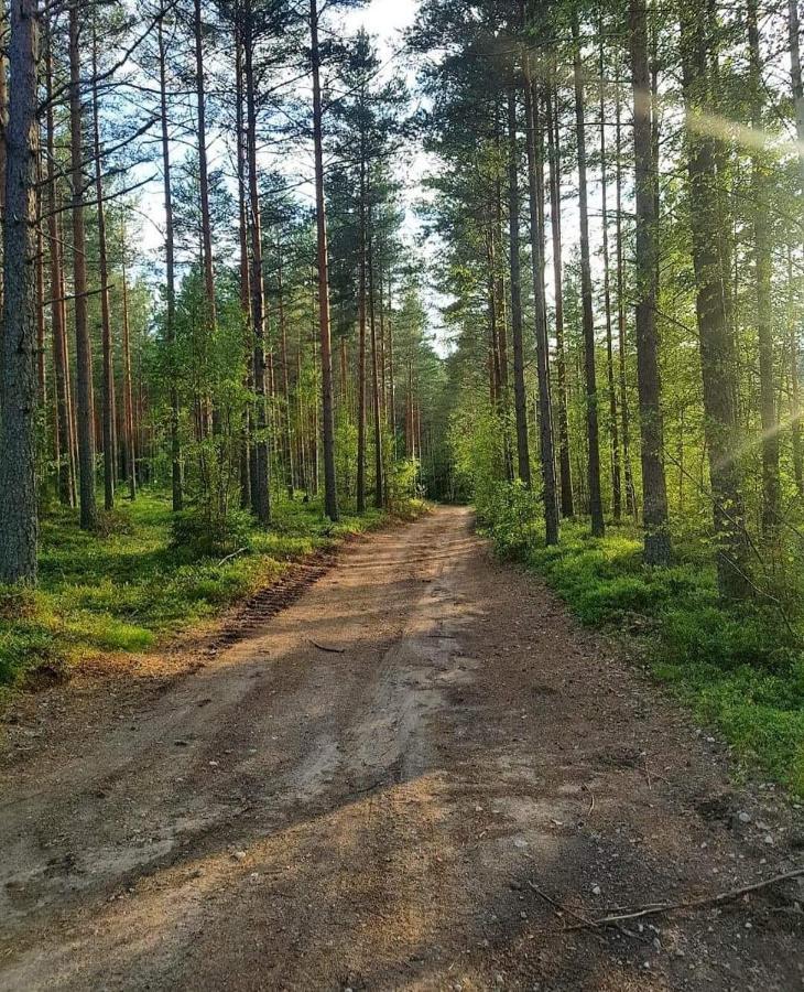 Trevlig Stuga Naera Hovfjaellet Турсбю Екстер'єр фото